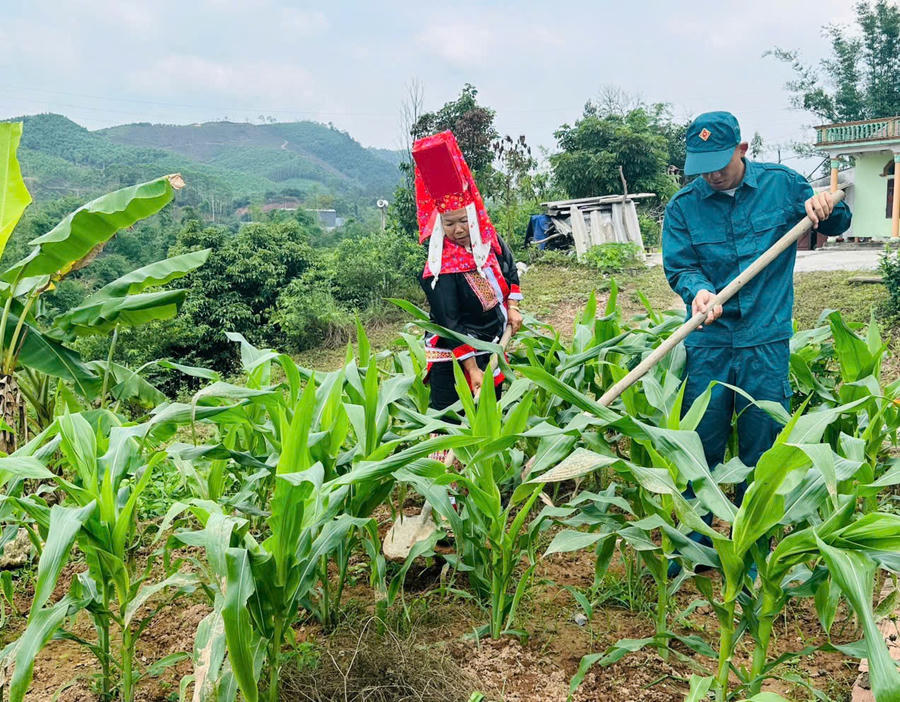 Cán bộ cơ sở cùng người dân lao động, đồng hành trong phát triển sinh kế, góp phần củng cố niềm tin từ những việc làm thiết thực.