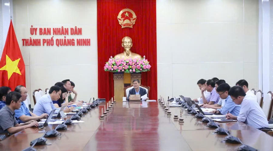 Quang cảnh cuộc họp. Quang cảnh cuộc họp.