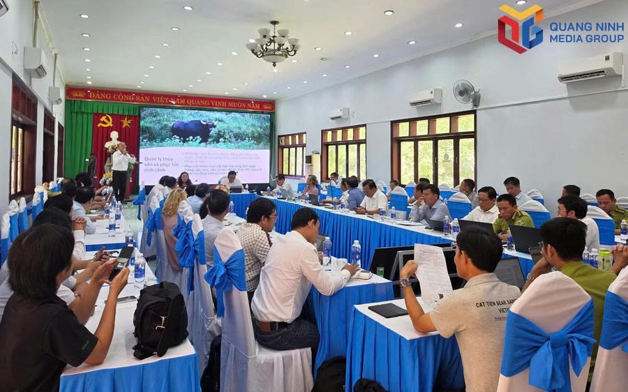 Hội thảo “Tăng cường quản lý, sử dụng bền vững các vùng đất ngập nước quan trọng và đề xuất danh mục các khu Ramsar tiềm năng” thu hút gần 100 đại biểu đến từ các đơn vị chuyên môn.Ảnh: Báo Quảng Ninh Hội thảo “Tăng cường quản lý, sử dụng bền vững các vùng đất ngập nước quan trọng và đề xuất danh mục các khu Ramsar tiềm năng” thu hút gần 100 đại biểu đến từ các đơn vị chuyên môn.Ảnh: Báo Quảng Ninh