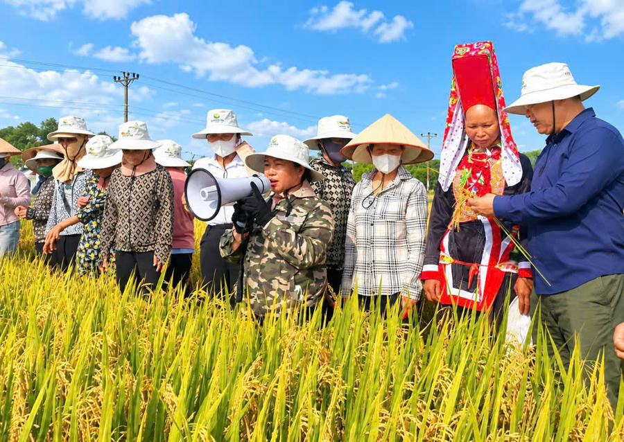 Người dân xã Quảng Tân tham gia hoạt động sản xuất, phát huy tinh thần đoàn kết, cùng nhau phát triển kinh tế và xây dựng đời sống mới ở cơ sở.
