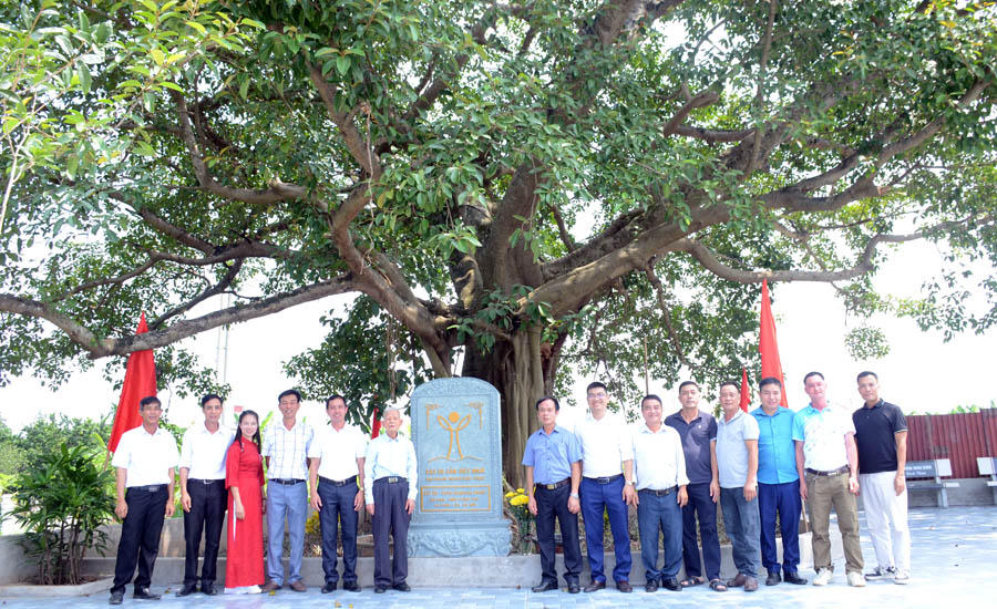 Khai trương bia đá 2 cây đa thôn Xuân Phú là Cây Di sản Việt Nam