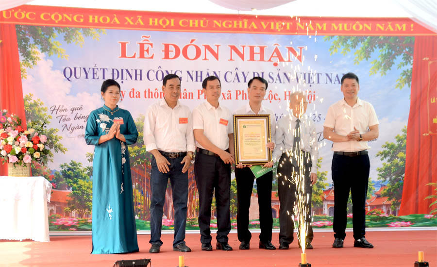 GS.TSKH Đặng Huy Huỳnh, Phó Chủ tịch VACNE trao Bằng công nhận Cây Di sản Việt Nam cho đại diện lãnh đạo thôn Xuân Phú và xã Phúc Lộc trong sự chứng kiến của các đại biểu, các cụ cao niên và đông đảo nhân dân địa phương.
