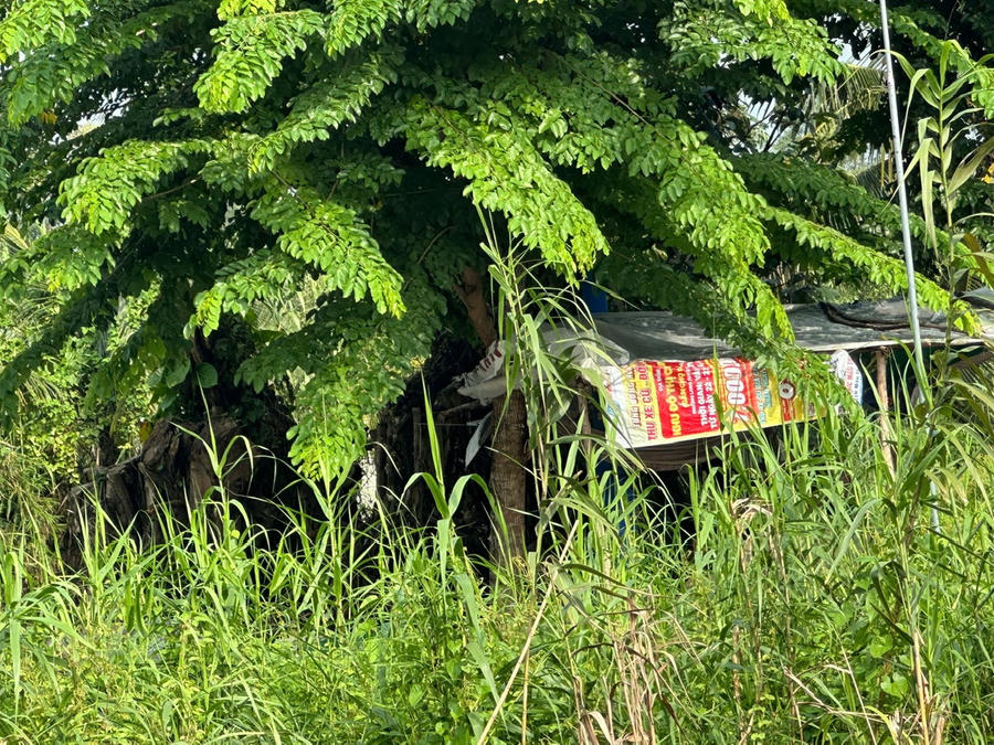 Khu đô thị 35ha nằm ở vị trí "đất vàng" bị bỏ hoang, cỏ dại um tùm gây lãng phí tài nguyên, ảnh hưởng đến mĩ quan đô thị.