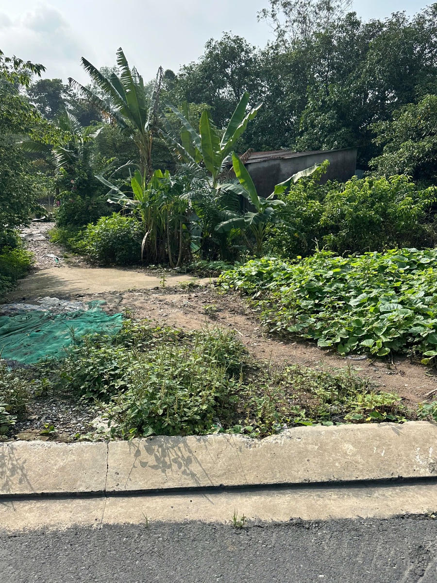 Khu đô thị 35ha nằm ở vị trí "đất vàng" bị bỏ hoang, cỏ dại um tùm gây lãng phí tài nguyên, ảnh hưởng đến mĩ quan đô thị.