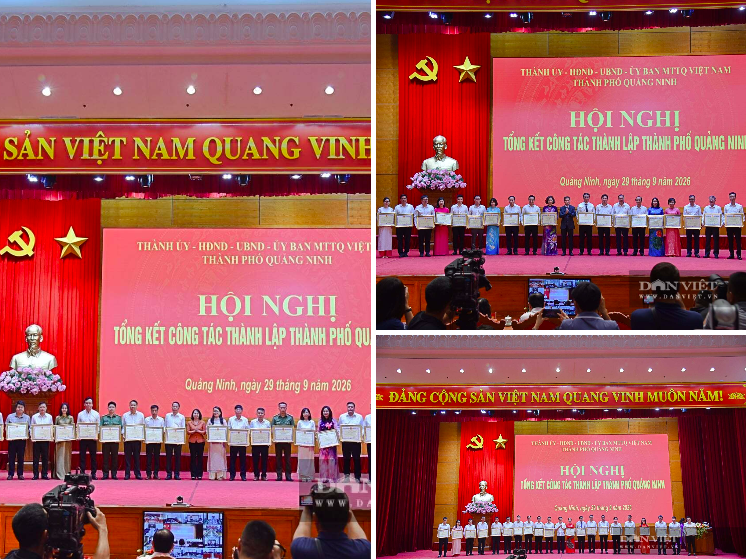 Quảng Ninh tặng Bằng khen cho nhiều tập thể, cá nhân có thành tích xuất sắc trong xây dựng hồ sơ và tổ chức các hoạt động chào mừng thành phố. Ảnh: Bùi My