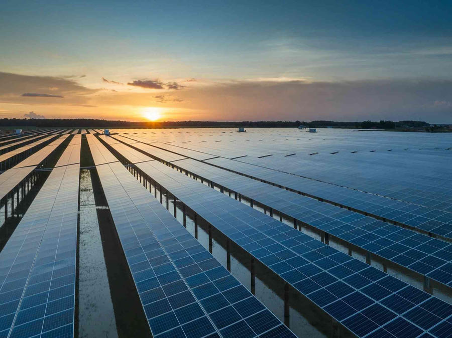 Ảnh minh họa.
