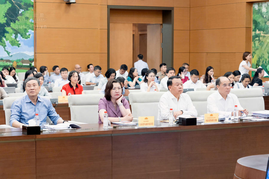Các đại biểu tham dự phiên họp. Ảnh: quochoi.vn