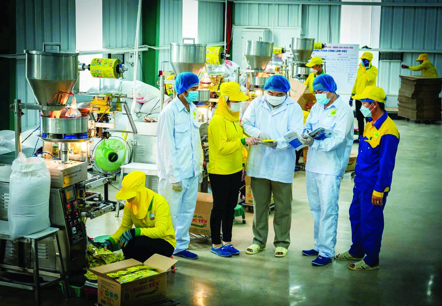 Phía sau những con số tăng trưởng ấn tượng ấy là cả một quá trình sáng tạo đổi mới liên tục của ông Ba Bé và những người con, cùng sự nỗ lực của tập thể CBCNV Muối sấy Ngọc Yến