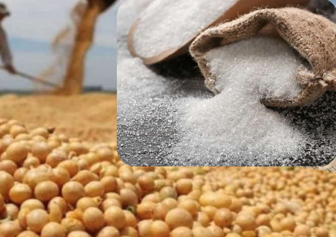 Nhóm nông sản dẫn dắt đà tăng, với tâm điểm là nhóm họ đậu.