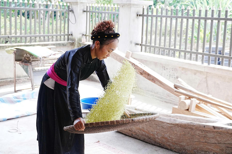 Sau khi hoàn thiện các công đoạn chế biến, cốm được bà con sẩy sạch trước khi đóng gói, đưa sản phẩm đến với người thưởng thức.