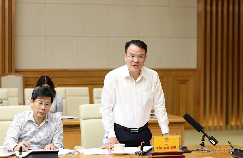 Thứ trưởng Bộ Tài chính Trần Quốc Phương phát biểu tại cuộc họp - Ảnh chinhphu.vn/Đức Tuân