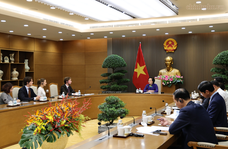 Làm việc với ông César Louis-Philip Marseille, Tổng Giám đốc Công ty VAMED Engineering GmbH (Áo), Phó Thủ tướng Phạm Thị Thanh Trà đã trao đổi về các cơ hội hợp tác đầu tư trong lĩnh vực y tế - Ảnh: chinhphu.vn/Thu Giang