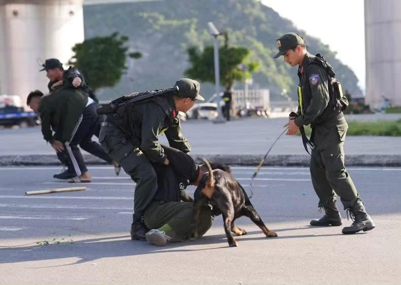 Lực lượng chó nghiệp vụ cũng được huy động tham gia trấn áp các đối tượng gây rối an ninh, trật tự.