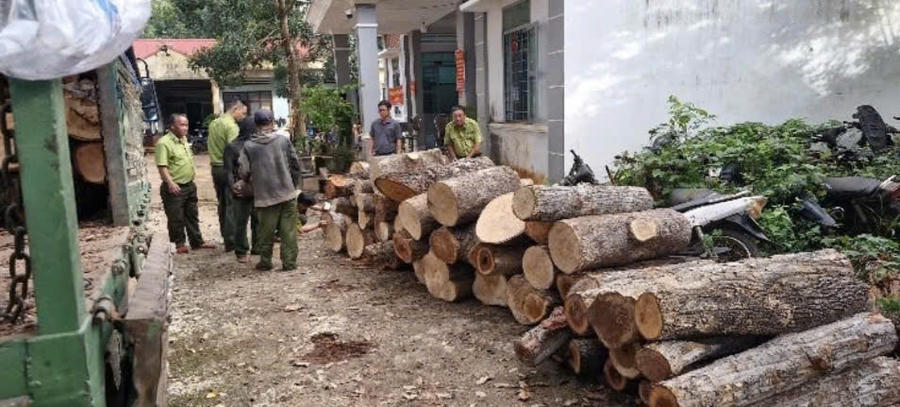 Các đối tượng đã vận chuyển, mua bán hơn 22 m³ gỗ lậu và 8,5 ster củi. Các đối tượng đã vận chuyển, mua bán hơn 22 m³ gỗ lậu và 8,5 ster củi.