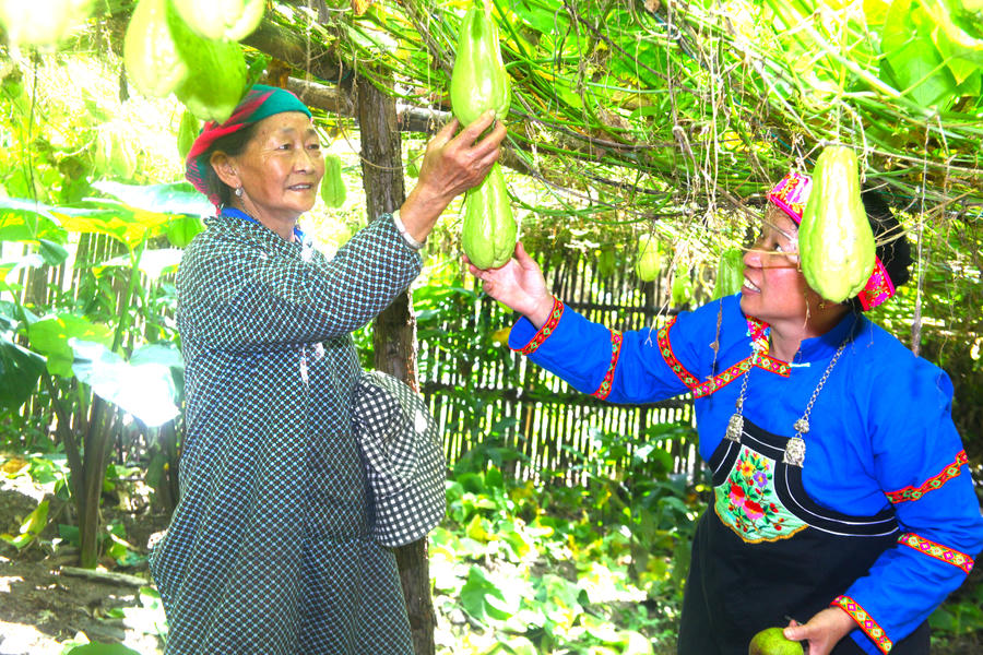 Chị Vù Thị Hoa, nữ Bí thư chi bộ thôn Vàng Chá Phìn tuyên truyền người dân phát triển kinh tế.