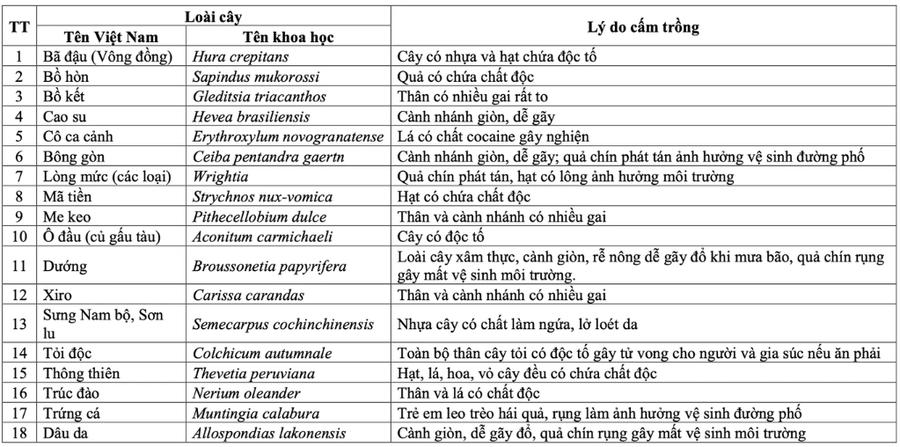 18 loài cây Hà Nội cấm trồng (Ảnh chụp màn hình).