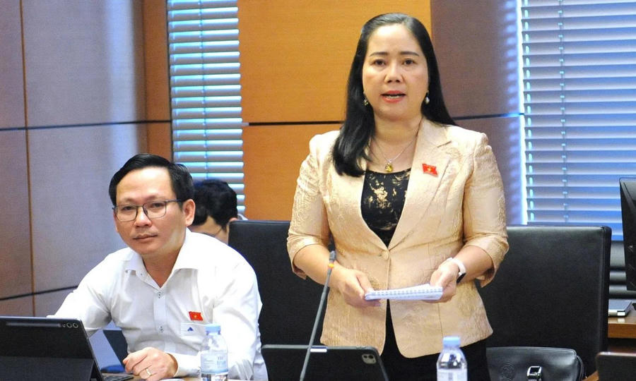 Đại biểu Nguyễn Thị Kim Thoa.