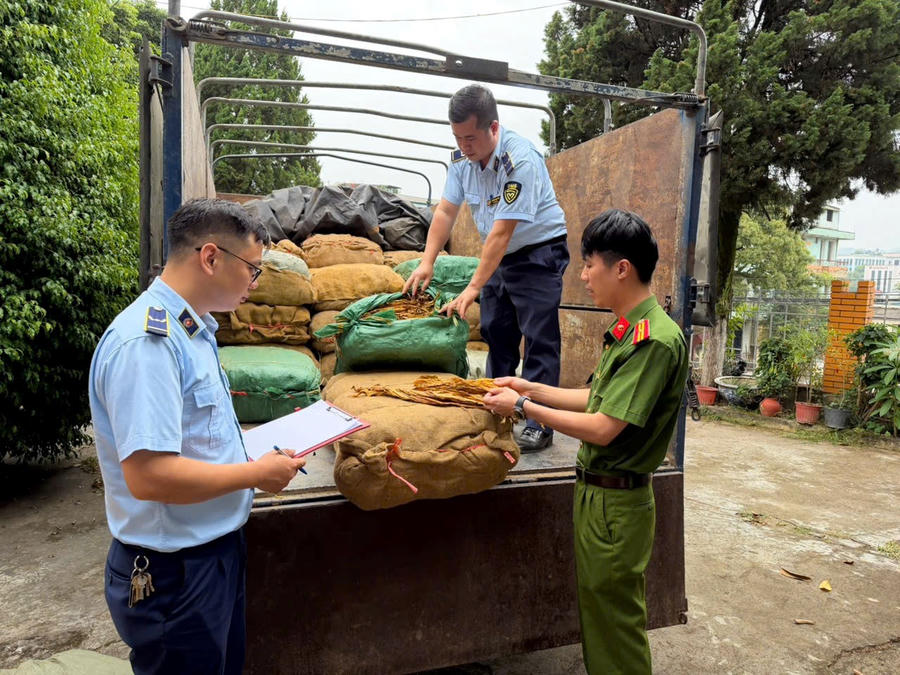 Lực lượng chức năng tỉnh Cao Bằng phát hiện  hơn 1,2 tấn thuốc lá nguyên liệu không rõ nguồn gốc. Ảnh: DMS