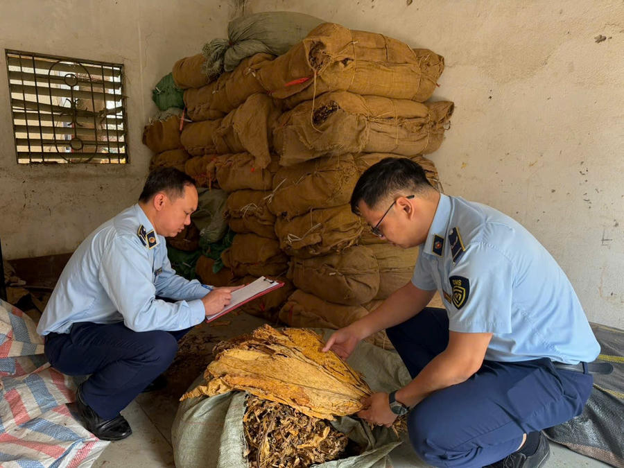 Toàn bộ tang vật đã bị lực lượng chức năng thu giữ để xác minh, xử lý theo quy định. Ảnh: DMS