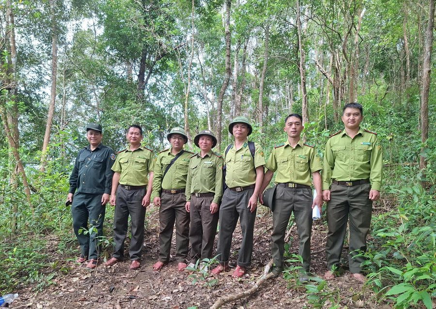 Công tác bảo vệ rừng tại xã Mường Nhé được các lực lượng chức năng đẩy mạnh thực hiện.