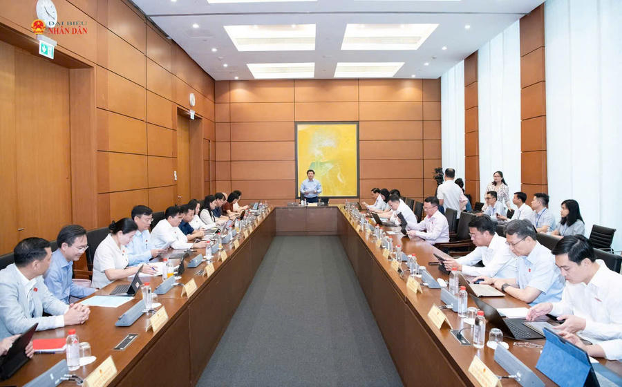 Các đại biểu thảo luận.