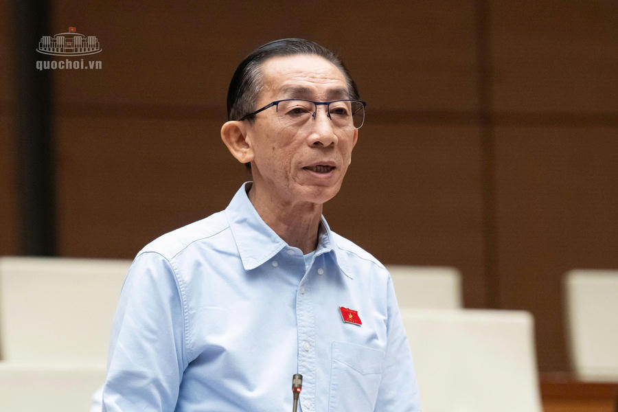 Đại biểu Trần Hoàng Ngân, Đoàn ĐBQH Thành phố Hồ Chí Minh phát biểu. Ảnh: quochoi.vn