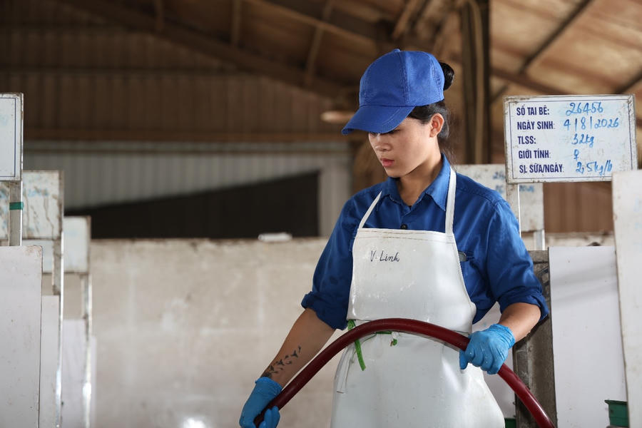 Sự đồng bộ trong toàn bộ chuỗi sản xuất chính là yếu tố quan trọng bảo đảm chất lượng đầu ra của Sữa Tươi Kun