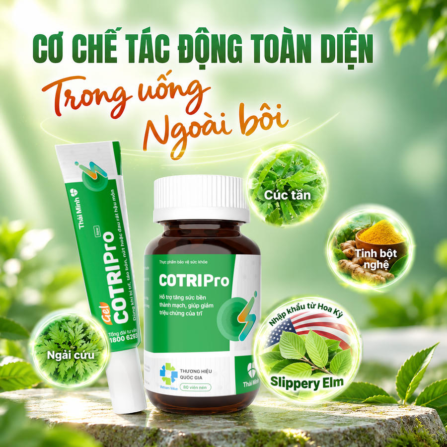 Cơ chế tác động toàn diện lên búi trĩ