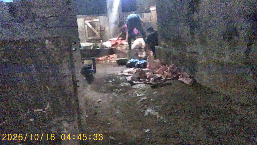 Cơ sở lò mổ của ông Lỗ Bá B. tại tổ 7 (giáp chợ Ngọc Hà), phường Hà Giang 2, quá trình giết mổ phóng viên ghi nhận không đảm bảo vệ sinh an toàn thực phẩm.